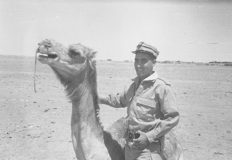 221ATN SMARA